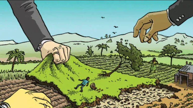 Title Deed Fraud in Kenya: You Did Everything Right and Still Lost Your Land